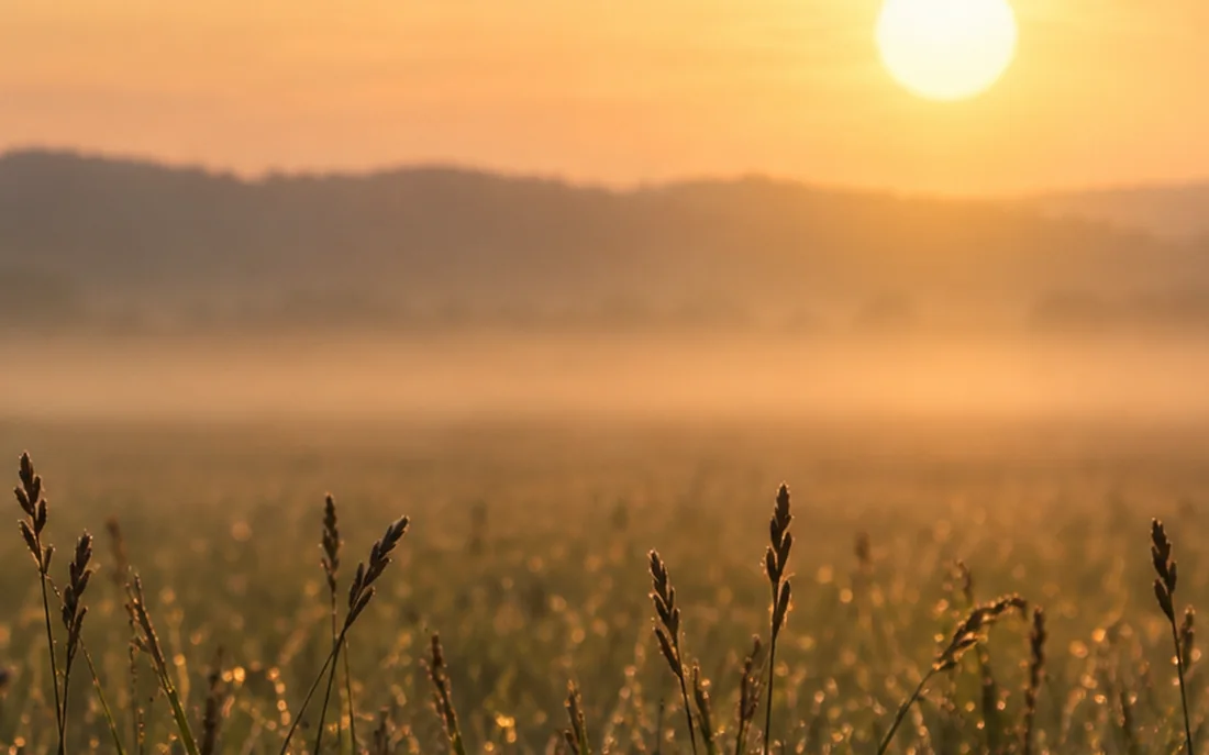 The sun resting on a distant ridge above a misted field