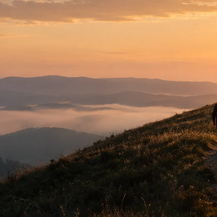 Mist filling the valleys below a line of hills at dawn